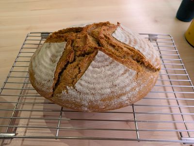 Sourdough