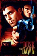 Cover of From Dusk Till Dawn