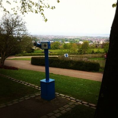 Imported Swarm photo