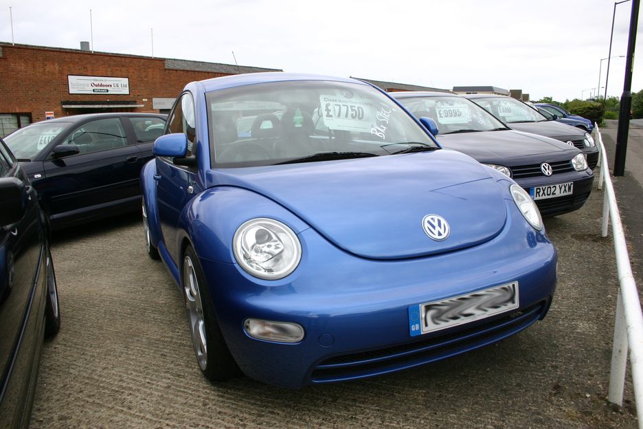 Cover image for All bugged out