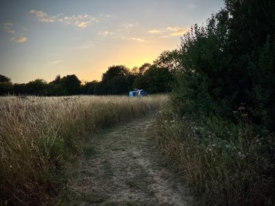 Imported Swarm photo