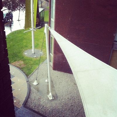 Imported Swarm photo