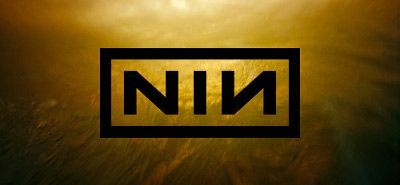 Cover image for I Only Wanted The New NIN Album